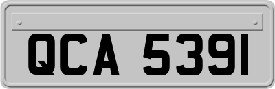 QCA5391