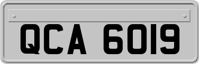 QCA6019