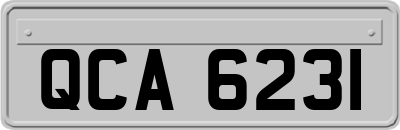 QCA6231