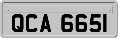 QCA6651