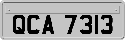 QCA7313