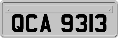QCA9313
