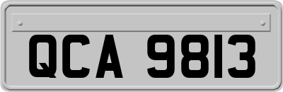 QCA9813