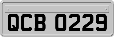 QCB0229