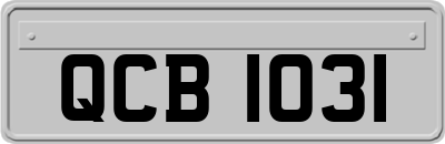 QCB1031