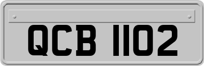 QCB1102