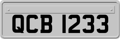 QCB1233