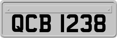 QCB1238