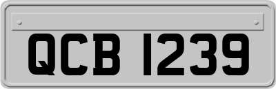 QCB1239