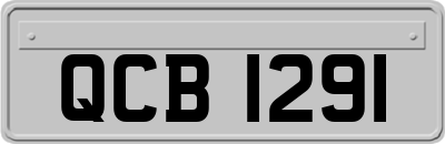 QCB1291