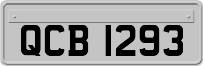 QCB1293