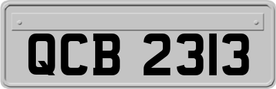 QCB2313