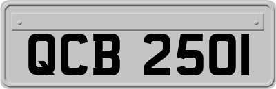 QCB2501