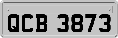 QCB3873