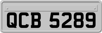 QCB5289