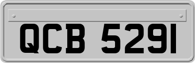 QCB5291