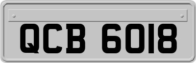 QCB6018