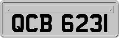 QCB6231