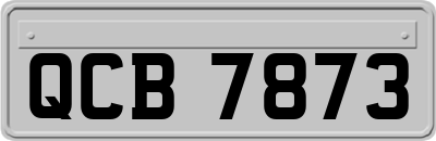 QCB7873
