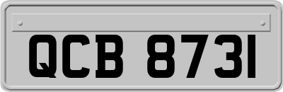 QCB8731