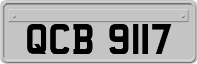 QCB9117
