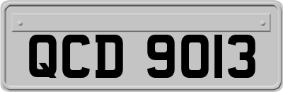 QCD9013