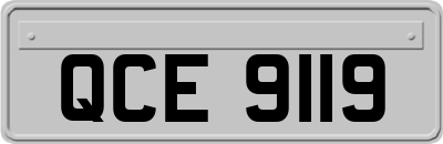 QCE9119