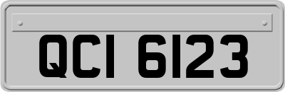 QCI6123