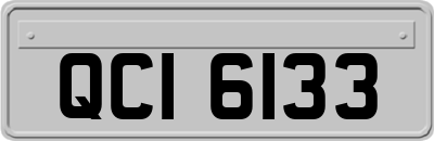 QCI6133