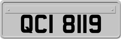 QCI8119
