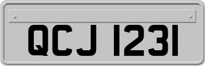 QCJ1231