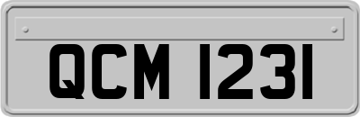 QCM1231
