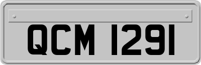 QCM1291