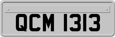 QCM1313