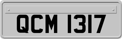 QCM1317
