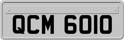 QCM6010