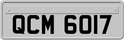 QCM6017