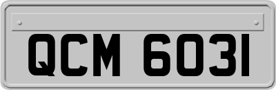 QCM6031