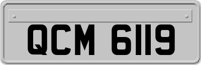 QCM6119