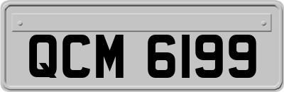 QCM6199