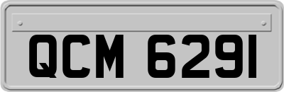 QCM6291