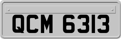 QCM6313