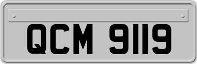 QCM9119