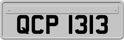 QCP1313