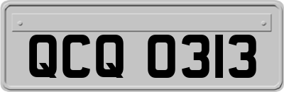 QCQ0313