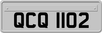 QCQ1102