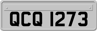 QCQ1273