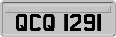 QCQ1291