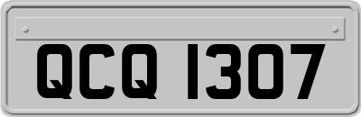 QCQ1307