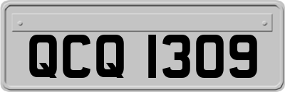 QCQ1309